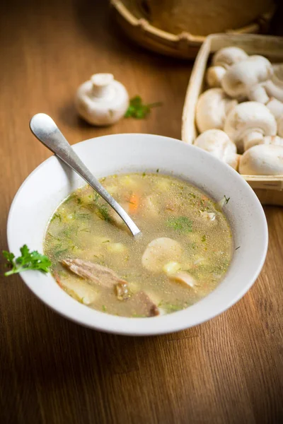 Homemade rural soup with vegetables and mushrooms in a bowl — Stock Photo, Image