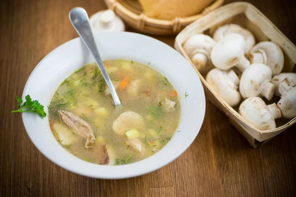 Homemade rural soup with vegetables and mushrooms in a bowl — Stock Photo, Image