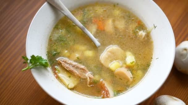 Zelfgemaakte landelijke soep met groenten en champignons in een kom — Stockvideo