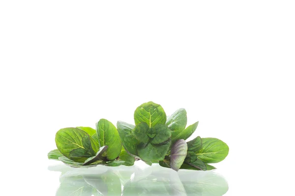 Bunch of fresh green mint on white background — Stock Photo, Image