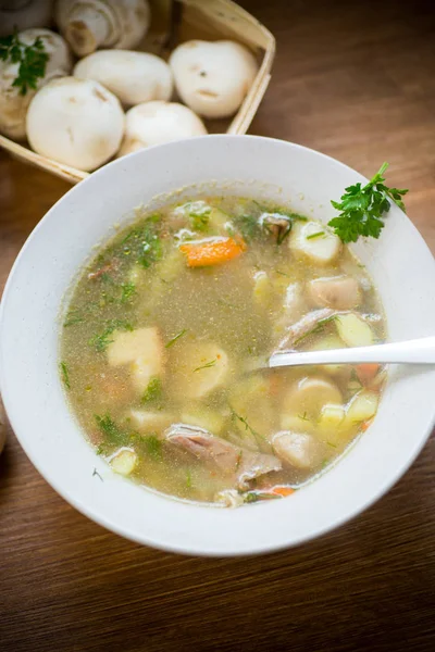 Homemade rural soup with vegetables and mushrooms in a bowl — Stock Photo, Image