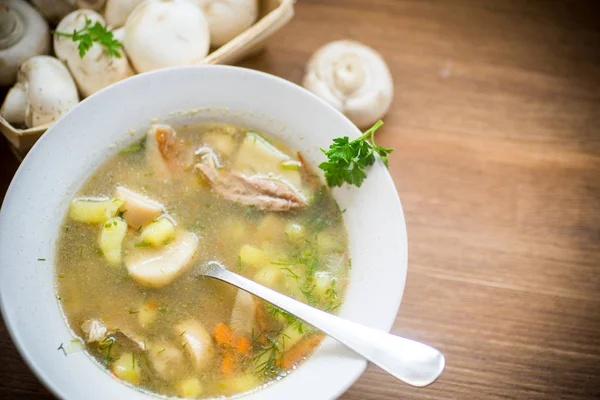 Homemade rural soup with vegetables and mushrooms in a bowl — Stock Photo, Image