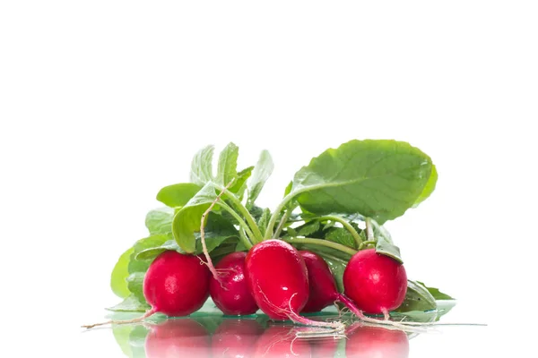 Świeże organiczne czerwone rzodkiewki na białym tle — Zdjęcie stockowe