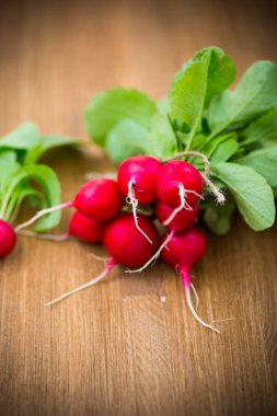 ahşap masada taze organik kırmızı turp