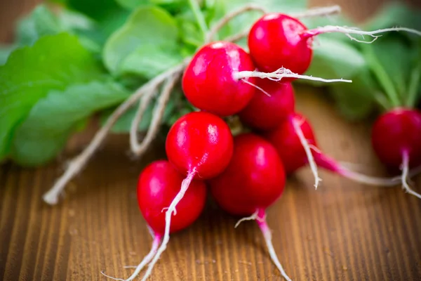 Świeże organiczne czerwone rzodkiewki na drewnianym stole — Zdjęcie stockowe