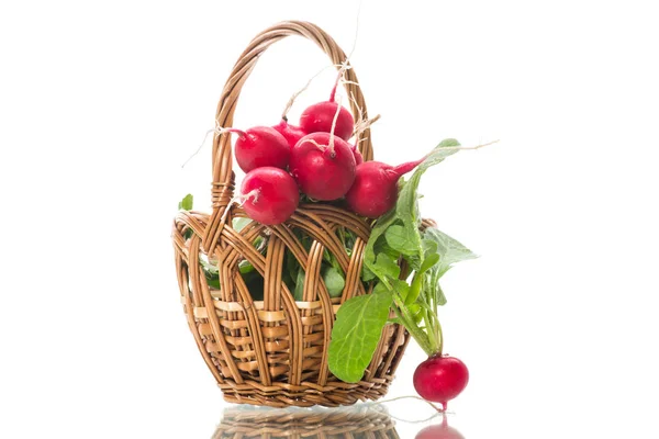 Fresh organic red radish isolated on white background — Stock Photo, Image