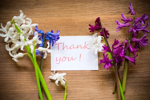 Primavera hermosas flores de un jacinto con una tarjeta de agradecimiento —  Fotos de Stock