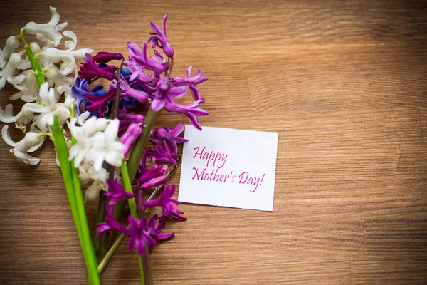 Frühling schöne Blumen der Hyazinthe mit Glückwünschen für Mama — Stockfoto