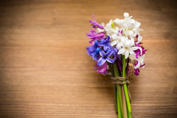 Frühling schöne Blumen verschiedener Farbe von Hyazinthe — Stockfoto