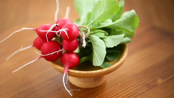 Fresh organic red radish on a wooden table — Stock Video