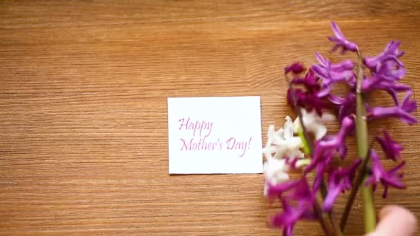 Άνοιξη όμορφα λουλούδια της υάκινης με συγχαρητήρια για τη μαμά — Αρχείο Βίντεο