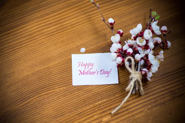 Tak met abrikoos bloemen op een donkere achtergrond — Stockfoto