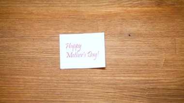 koyu arka plan üzerine kayısı çiçek şube