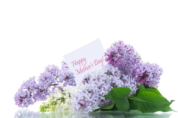 Spring blooming bouquet of lilac isolated on white — Stock Photo, Image