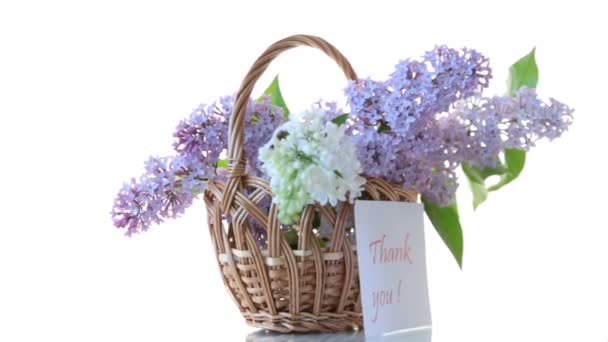 Primavera fioritura bouquet di lilla isolato su bianco — Video Stock
