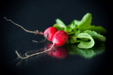 siyah arka planda taze organik kırmızı turp