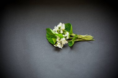 siyah güzel bahçe beyaz menekşe buketi