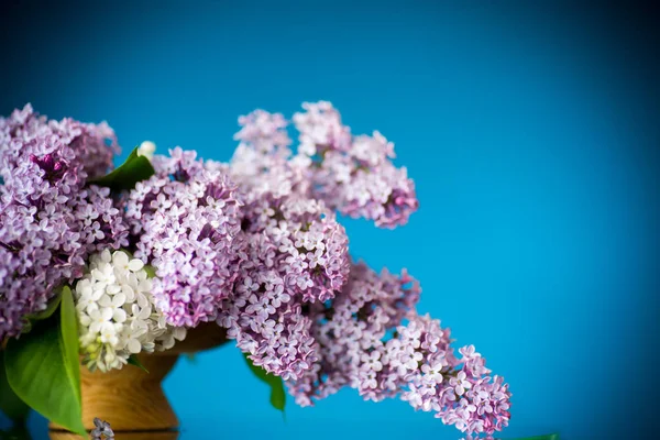 Bouquet de fleurs de printemps de lilas dans un panier — Photo