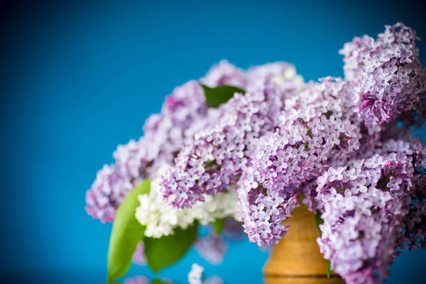 Vårblommande bukett av lila i en korg — Stockfoto