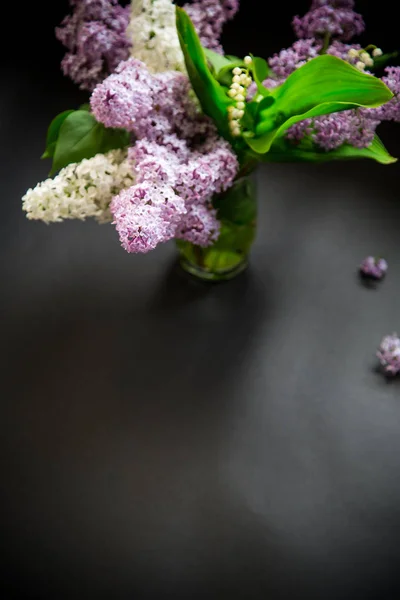 Belos ramos de primavera de lilás em um preto — Fotografia de Stock