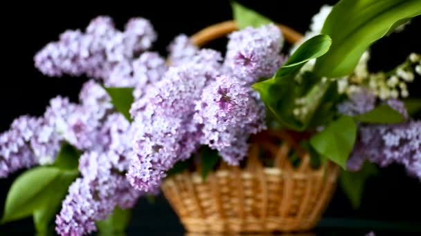 Spring blooming bouquet of lilac in a basket — Stock Video