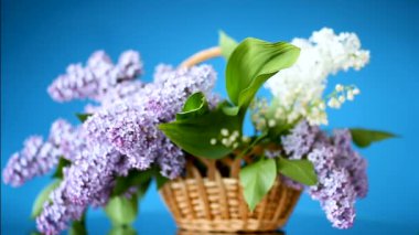 bir sepet içinde leylak bahar açan buket