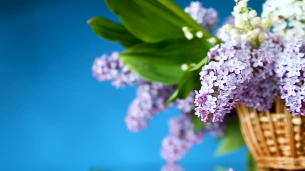 Spring blooming bouquet of lilac in a basket — Stock Video