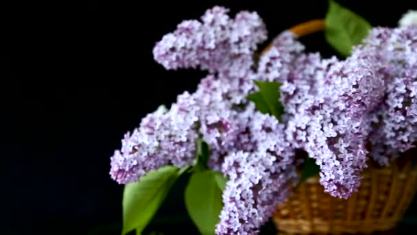 Ramo de flores de primavera de lila en una canasta — Vídeos de Stock