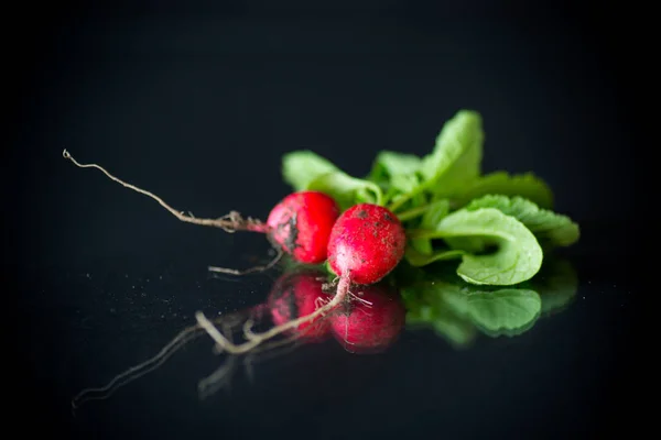 Verse biologische rode radijs op zwarte achtergrond — Stockfoto