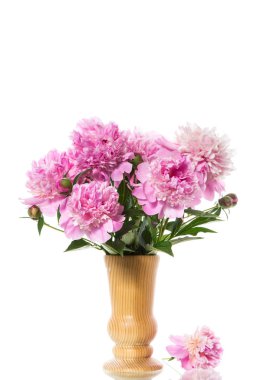 Beyaz arka plan üzerinde çiçek açan peonies buket
