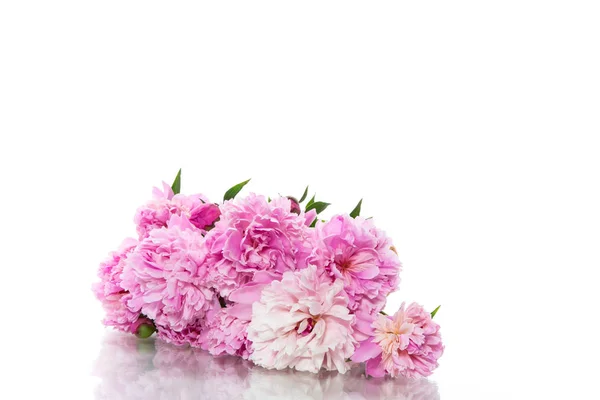 Bouquet of blooming peonies on white background — Stock Photo, Image