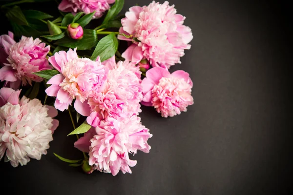 Bouquet de pivoines fleuries sur fond noir — Photo