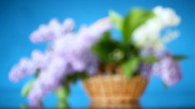 bir sepet içinde leylak bahar açan buket