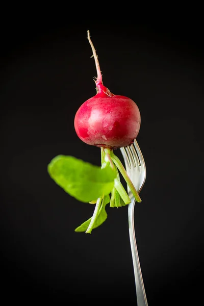 Fresh organic red radish on black background — Stock Photo, Image