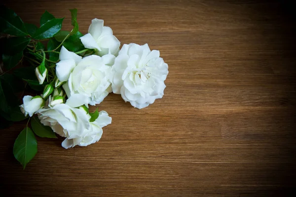 桌上摆放着一束漂亮的白玫瑰 — 图库照片