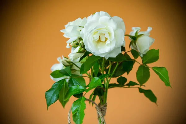 Boeket van prachtige witte rozen op een oranje — Stockfoto