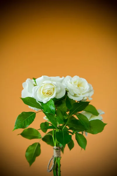Bouquet de belles roses blanches sur une orange — Photo