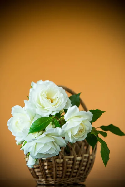 Ramo de hermosas rosas blancas sobre una naranja —  Fotos de Stock