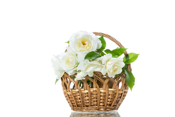 一束美丽的白玫瑰孤立在白色 — 图库照片