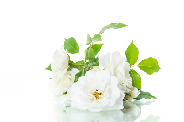 Μπουκέτο όμορφα λευκά τριαντάφυλλα απομονώνονται σε λευκό — Φωτογραφία Αρχείου