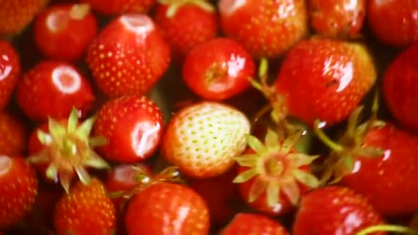 Hintergrund der organischen natürlichen frischen reifen Erdbeere — Stockvideo