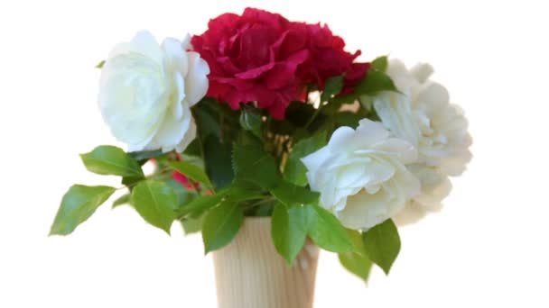Букет красивих червоних троянд на білому — стокове відео