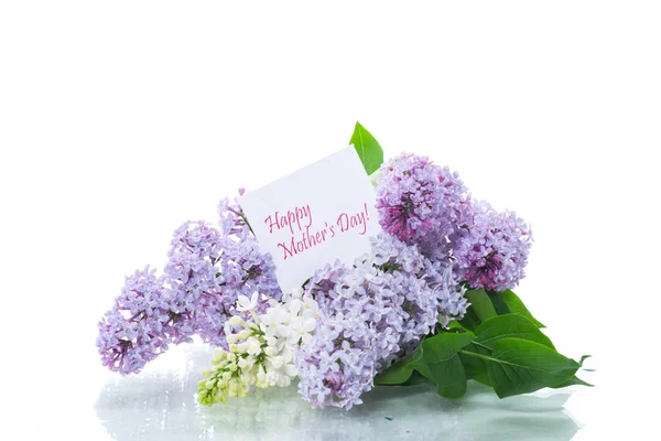 Spring blooming bouquet of lilac isolated on white — Stock Photo, Image