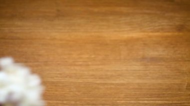 bahar güzel farklı renk çiçekler sümbül