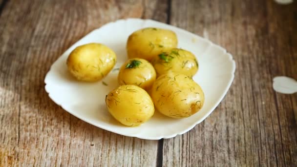 Kokt ung potatis med smör och dill i en tallrik — Stockvideo