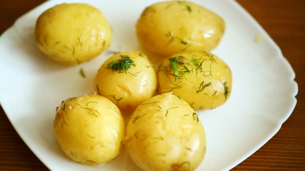 Вареная молодая картошка с маслом и укропом в тарелке — стоковое видео