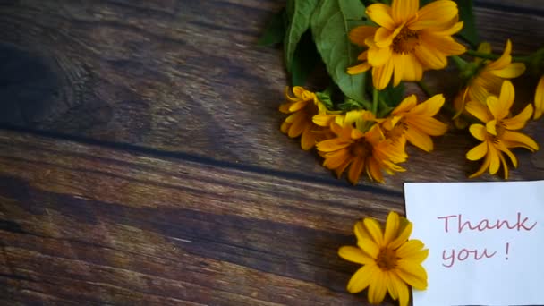 Bouquet of beautiful blooming daisies on a wooden table — Stock Video