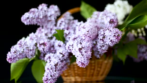 Spring blooming bouquet of lilac in a basket — Stock Video