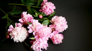 siyah arka plan üzerinde çiçekçi şakayık buketi