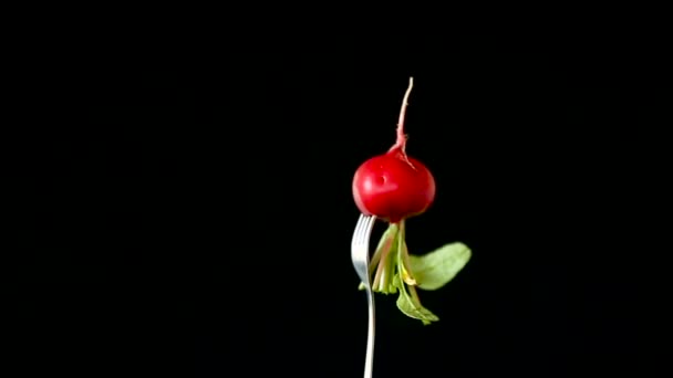 Verse biologische rode radijs op zwarte achtergrond — Stockvideo